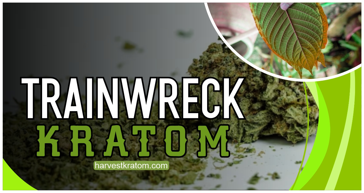 Dissecting The Mystery: What Is Trainwreck Kratom? - Harvest Kratom