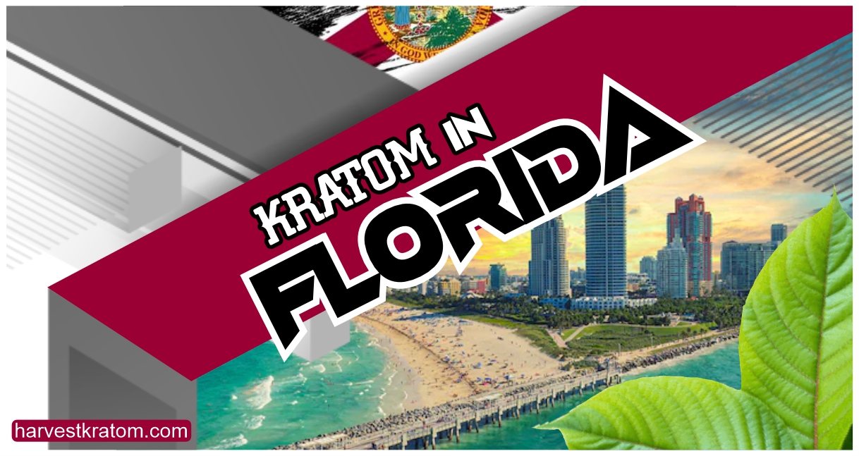 The Florida DPR: A Comprehensive Guide to the State's Unique Regulatory Framework