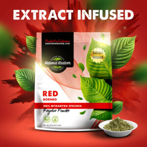 Extract Infused Red Borneo Kratom Powder in resealable pouch with smooth red-hued green powder