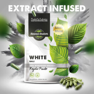 Extract Infused White Bali Kratom Capsules in bottle with green capsules arranged on bright surface